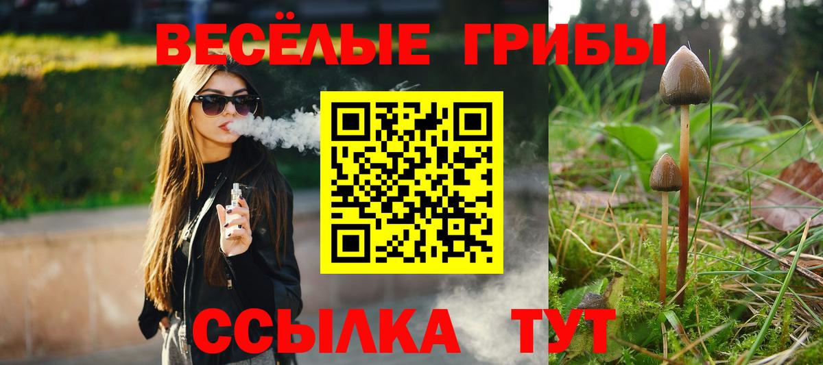 Миасс  Галлюциногенные грибы MAGIC MUSHROOMS  Вход с VPN 