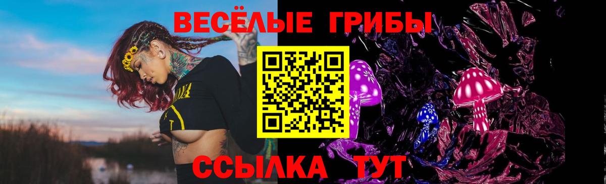 Псилоцибиновые грибы мицелий Миасс